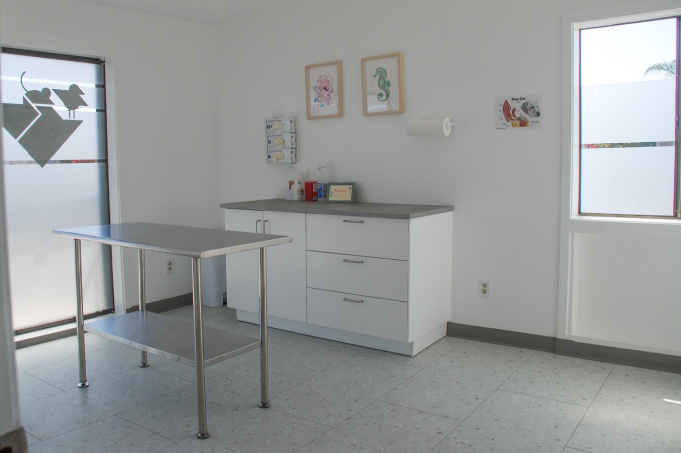 An exam room at Reichstadt VetCare