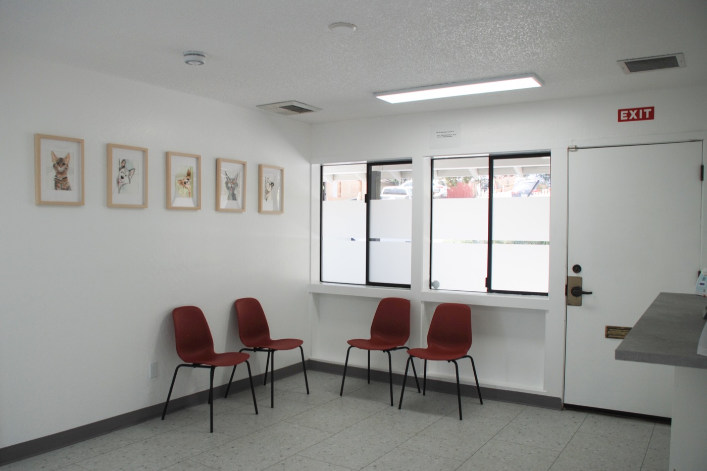 The waiting room at Reichstadt VetCare